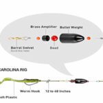 Top 3 Best Bass Rig For Bank Fishing, Unleash Your Potential