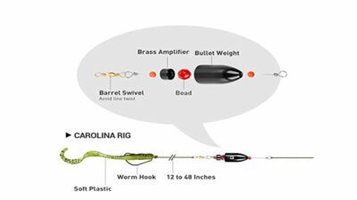 Catfish Setup - Rod, Reel, Carolina Rig 