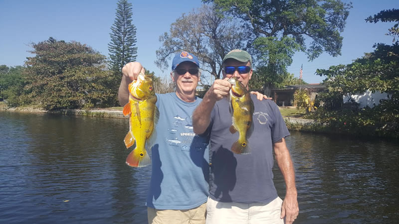 Blue Lagoon Miami Fishing Adventure for Peacock Bass