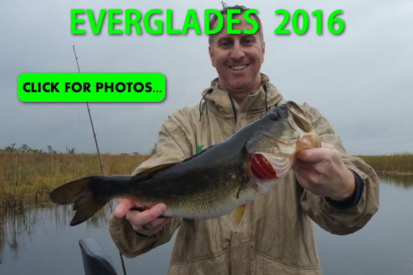 2016 Florida Everglades Pictures