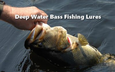 Deep Water Bass Fishing Lures