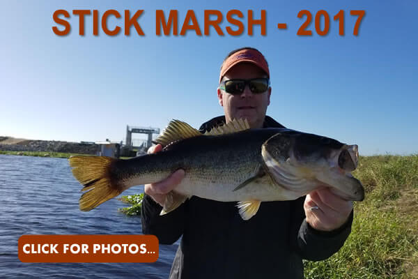 2017 Stick Marsh Pictures