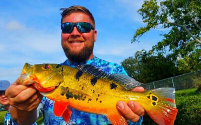 Summer Rain Exotic Fishing for Miami Florida Peacock Bass