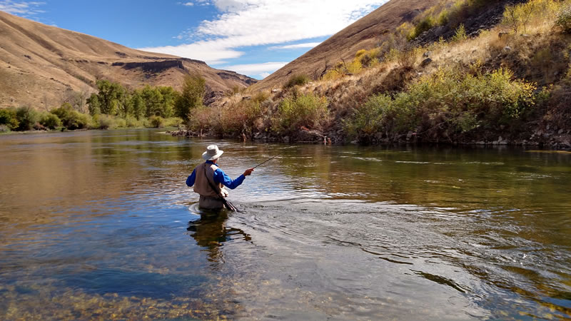 California Fly Fishing State River Sunset by TeeCreations