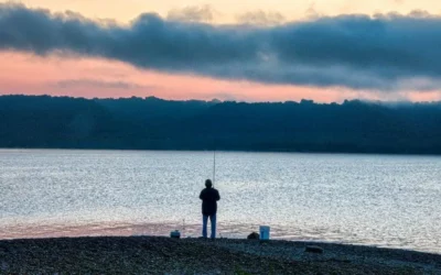 Fluorocarbon vs Braid: Which Fishing Line is Best?