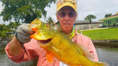 Mission Peacock Bass Fishing 1
