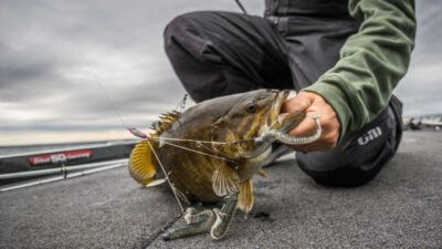 Alabama Rig Smallmouth Bass
