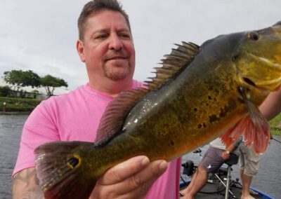 Cool Bass Fishing Trip