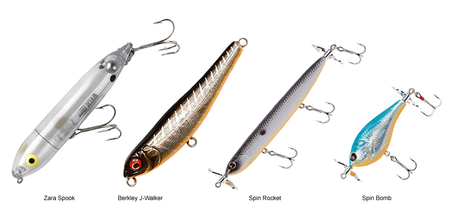 Top 10 Best TOURNAMENT Bass Fishing Baits Ever! 