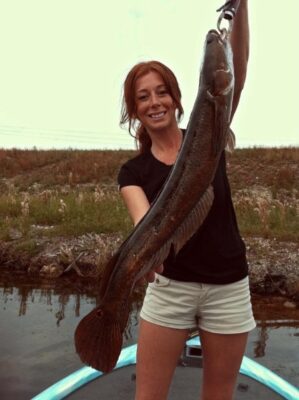 bcf-snakehead