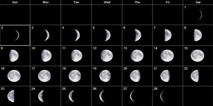 freshwater fishing moon phase
