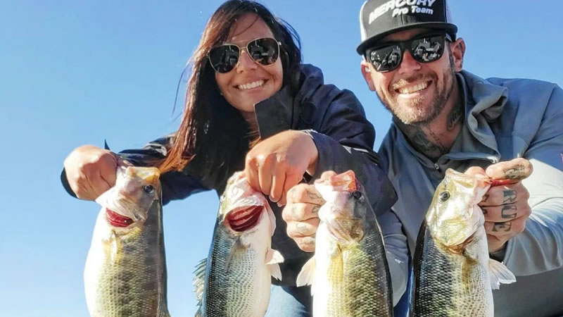 White bass chasing Schools in Protected cove in Truman Lake