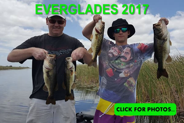 2017 Florida Everglades Pictures