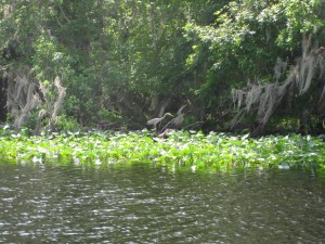 Lake Woodruff