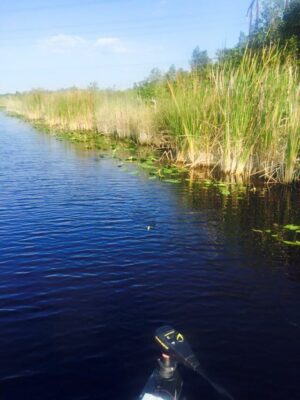 Everglades at Mack's Fish Camp