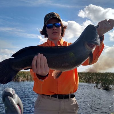 Florida Mudfish in Belle Glade today on the South end of Lake Okeechobee