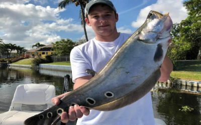 South Florida Fishing Clown Knifefish in Palm Beach County