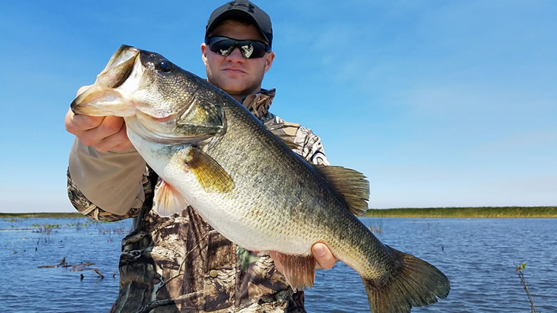 Spring Lake Okeechobee Fishing