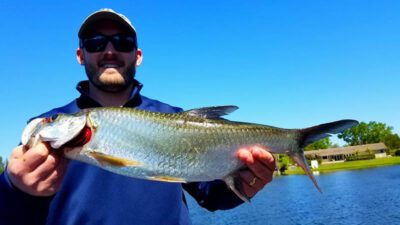 Miami Falls System Fishing