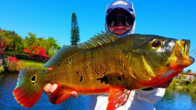 Miami Falls Fishing