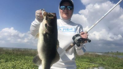 Largemouth bass trips