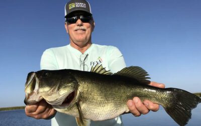 Current February Okeechobee Report for Florida Largemouth Bass