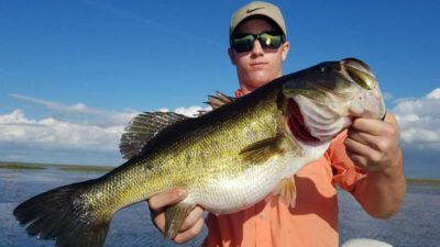 Giant Okeechobee Vero Beach tarpon