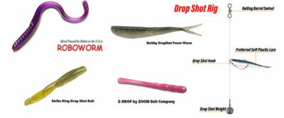 Drop Shot Lures for Bass