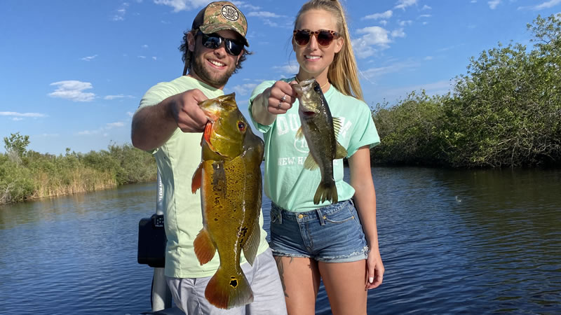 A man fishing for peacock bass in the Everglades with a fly rod