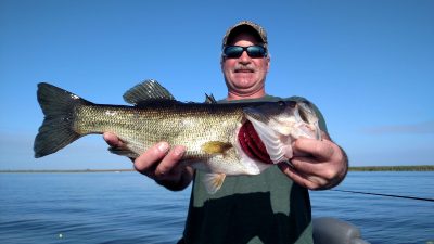 West Side of Lake Okeechobee Today 1 We were on the West side of Lake Okeechobee today Ron Powers 1