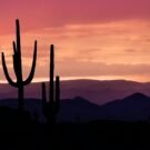 Fishing Guides Near Me 55 Jakarta H Avatar