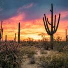 Fishing Guides Near Me 35 Key M Avatar