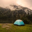 Fishing Guides Near Me 5 Ruttyh S Avatar