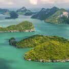 Fishing Charter Reviews 48 Luigi K Avatar