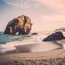 Fishing Charter Reviews 45 Terbe A Avatar