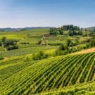 Fishing Charter Reviews 15 Lyer H Avatar