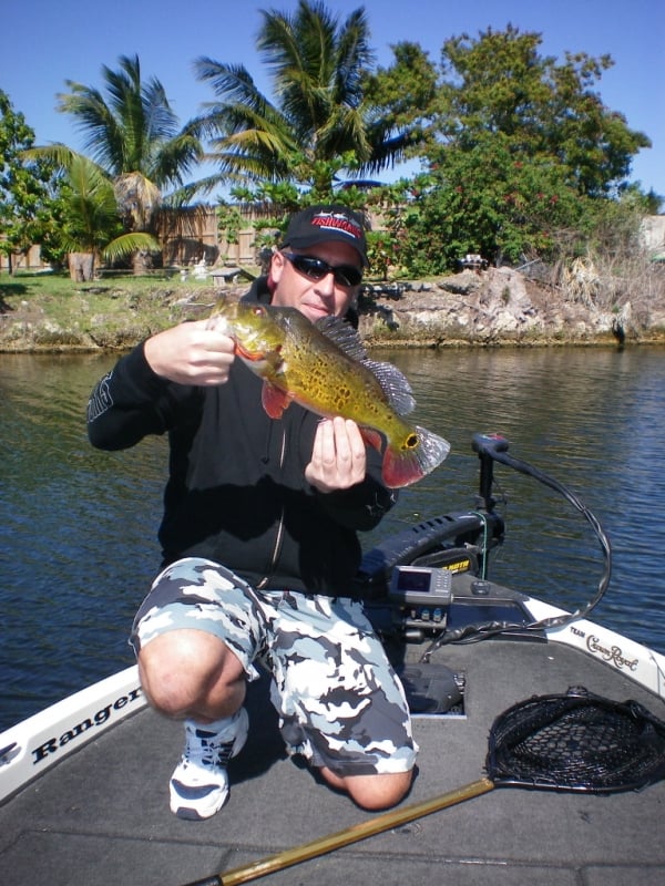 unique peacock bass fishing planet