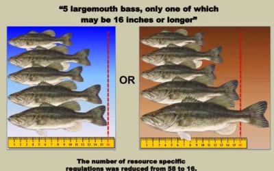 Florida Black Bass Management Plan