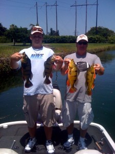 Wayne Snyder. Miami Peacock Bass