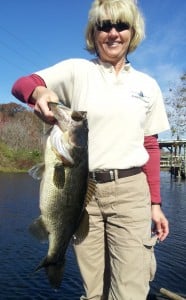 Haines Creek Fishing