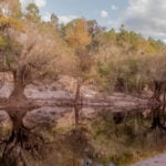 Suwannee River thumbnail