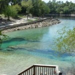 Suwannee River thumbnail