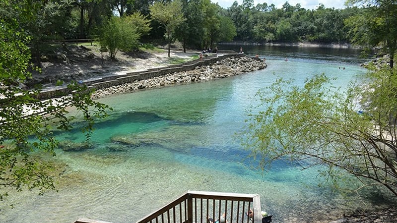 Suwannee River photo