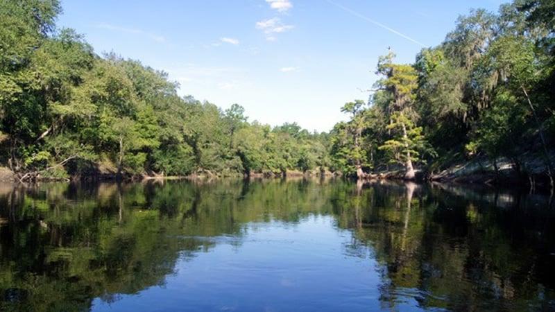 Suwannee River photo