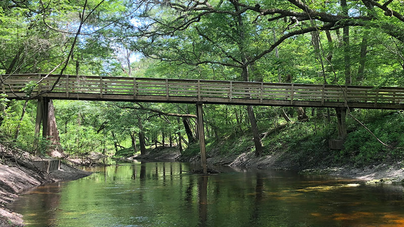 Suwannee River photo