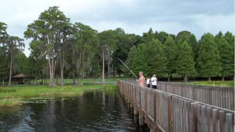 Orlando Fab Five Lakes photo