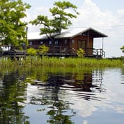 Lake Blue Cypress Village