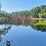 Lake Poinsett thumbnail