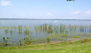 Lake Dora, Central Florida Fishing