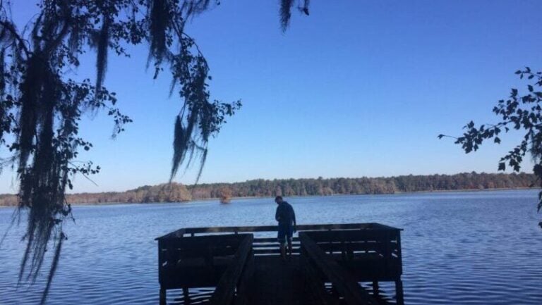 Bear Lake 4 Black Lake Fl